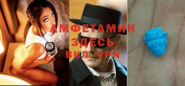 ECSTASY Богданович