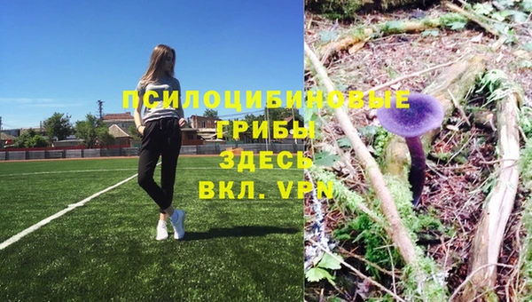 ALPHA-PVP Белокуриха