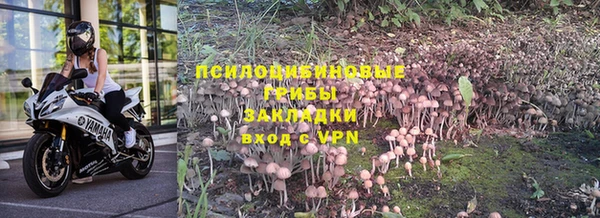 ПСИЛОЦИБИНОВЫЕ ГРИБЫ Белоозёрский