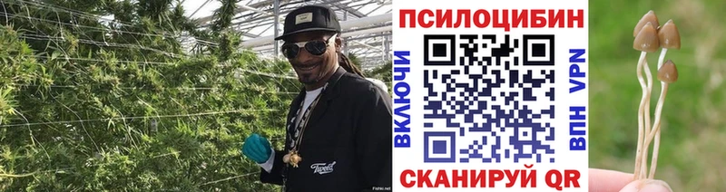 Галлюциногенные грибы прущие грибы  Брюховецкая 